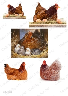 Rýžový a Soft  papír  A4 pro decoupage - R0078