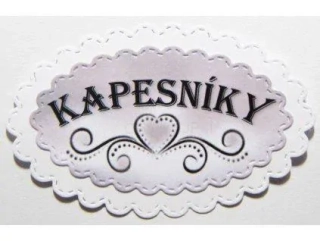 Kapesníky-113