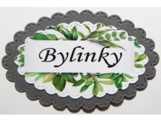 Bylinky-175