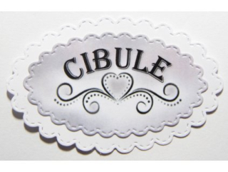 Cibule-189
