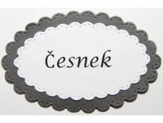 Česnek-11